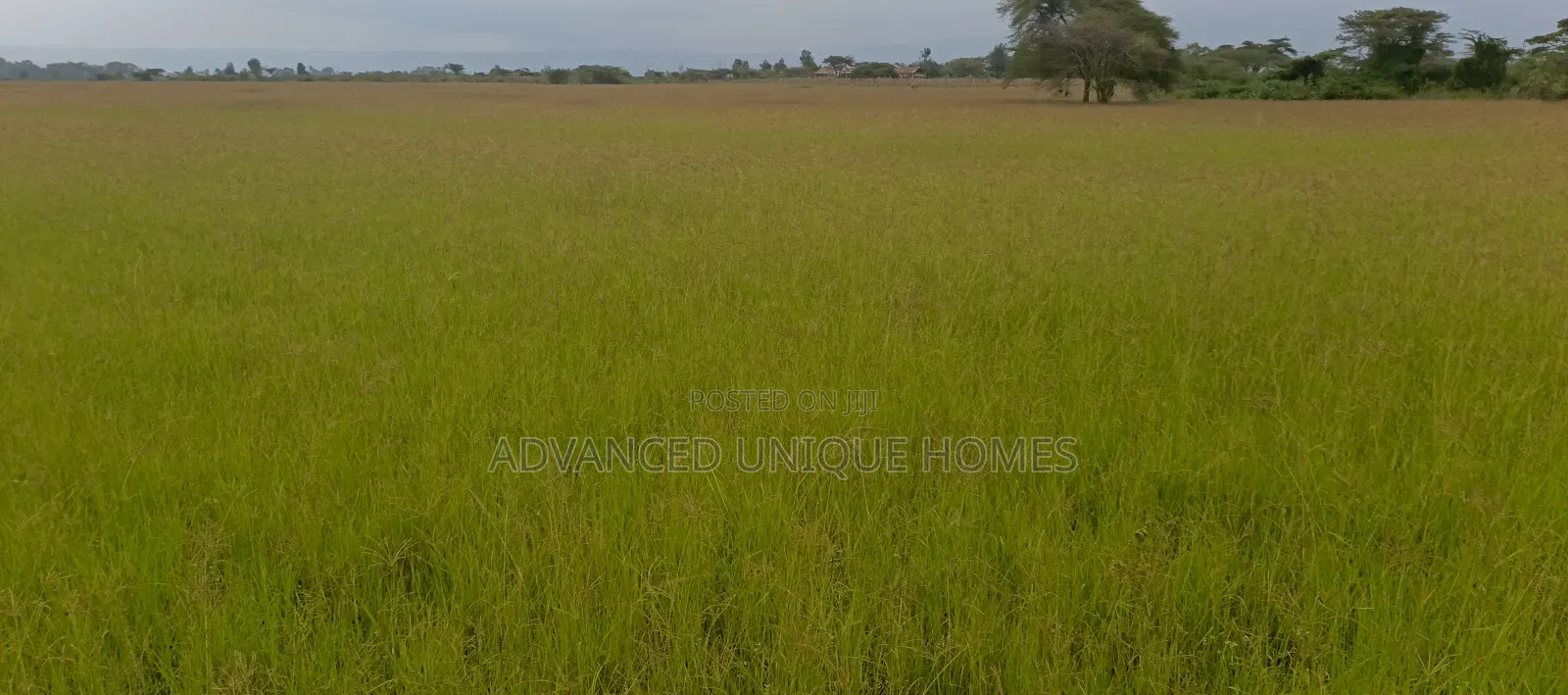Rongai Area Nakuru 10 Acres for Sale