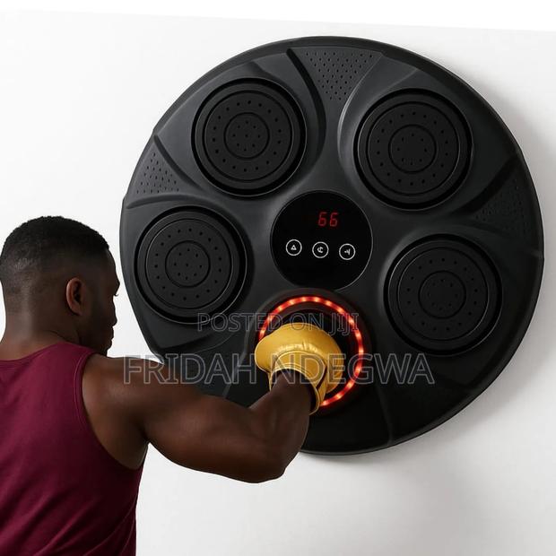 Wall Mounted Punch Boxing Trainer With Led Display.