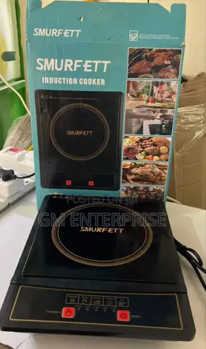 Generic Plate Induction Electric Cooker