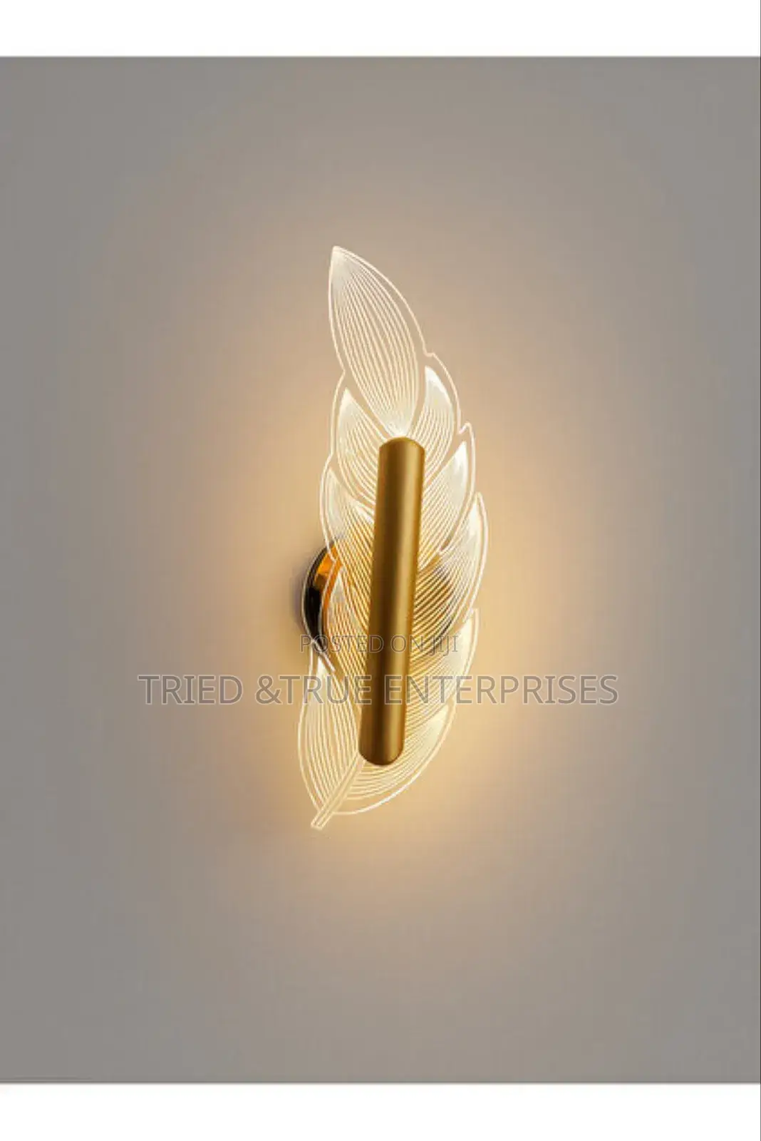 Beautiful Feather Design Modern Wall Light Jf4r