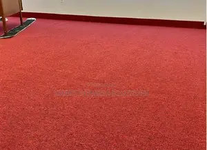 Soft Wall to Wall Delta Carpet