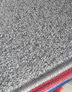 Noise Reducing Wall to Wall Delta Carpet