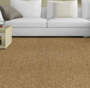 Full House Wall to Wall Carpet