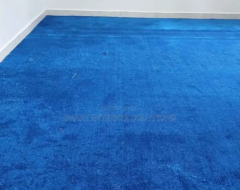 Heavy Floor Delta Wall to Wall Carpet