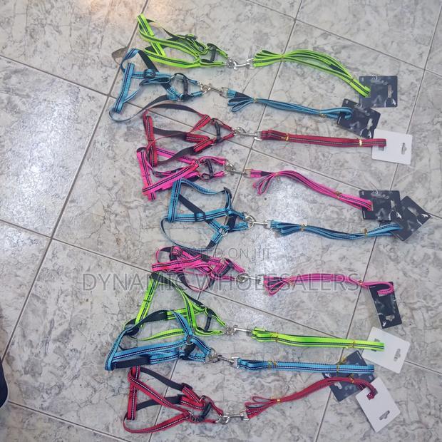Pet Harnesses and Leashes. - main view