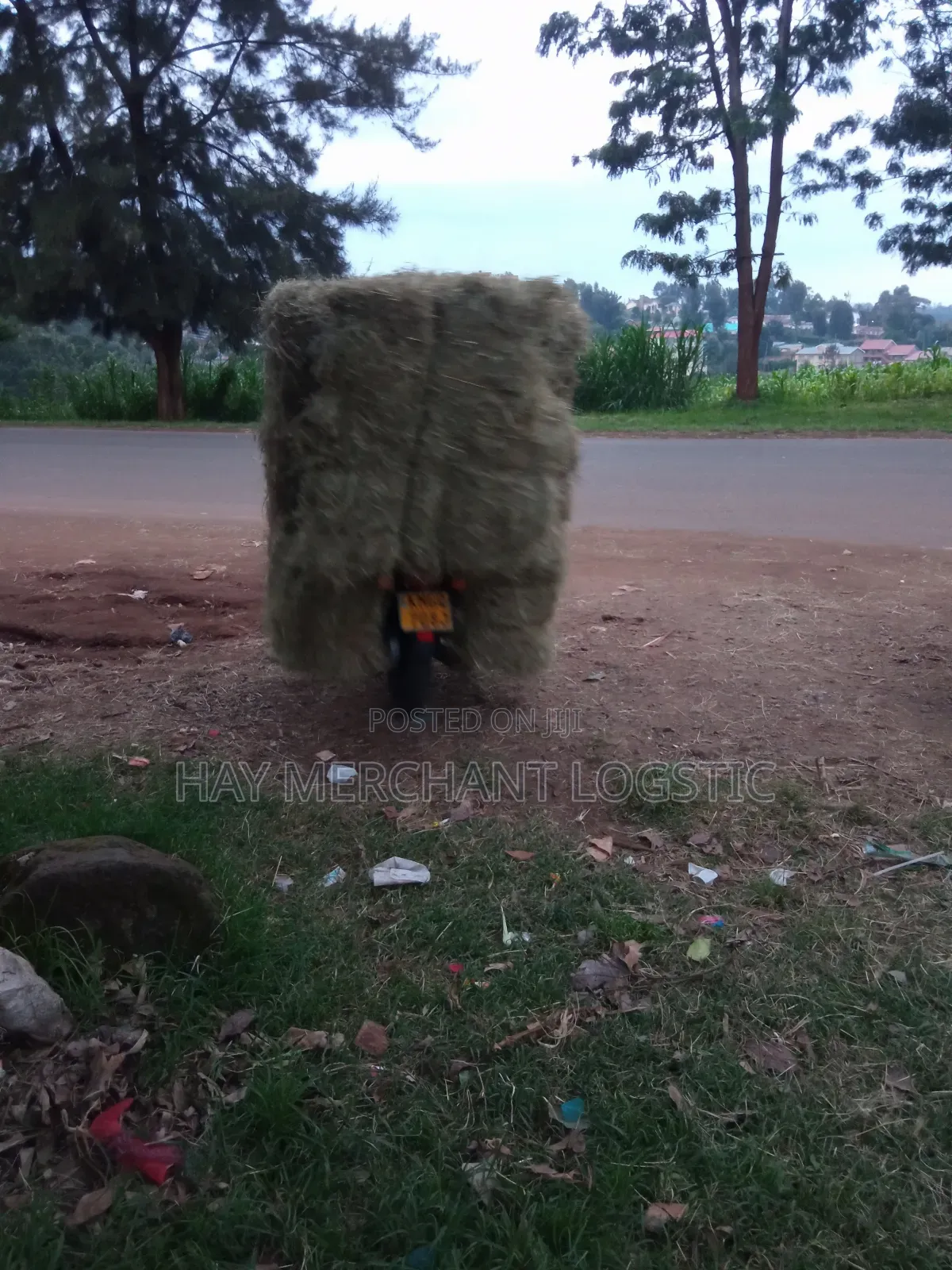 Event Hay Bales