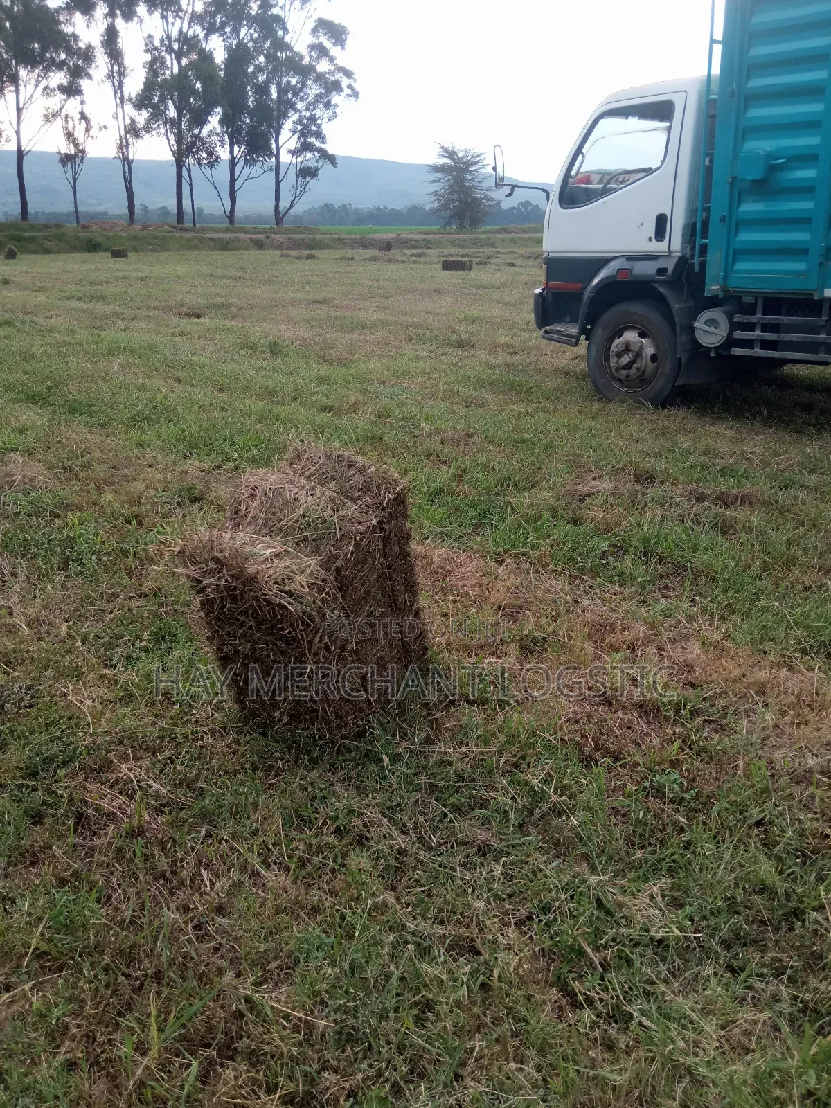 Event Hay Bales