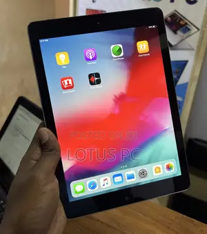 Apple iPad Air 16 GB Gray