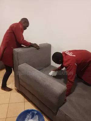 Deep Sofa Cleaning Disturbing Stains