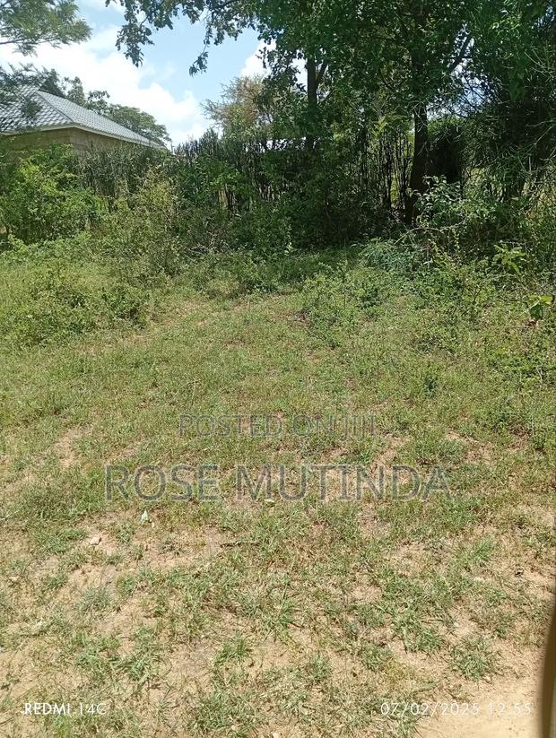 1and Half at Kyanzavi - thumbnail 6