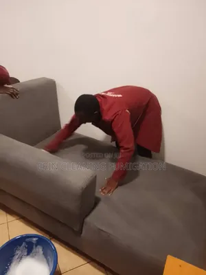 Professional Sofa Stain Cleaning and Fumigation Services