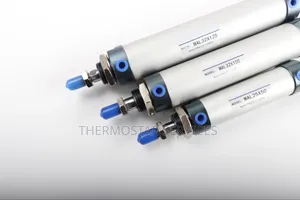 Pneumatic Cylinder
