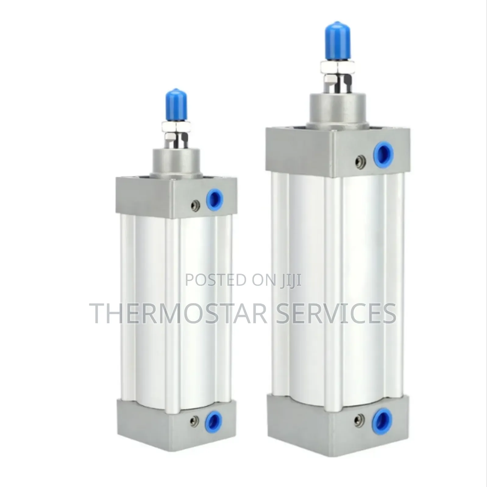 Pneumatic Cylinder