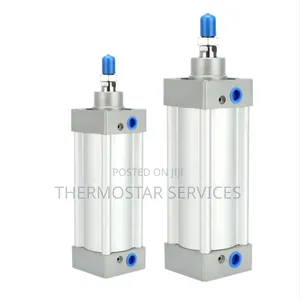 Pneumatic Cylinder
