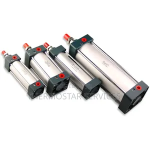 Pneumatic Cylinder