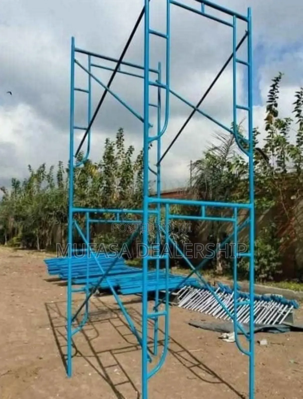 High Quality Construction Scaffold Ladder