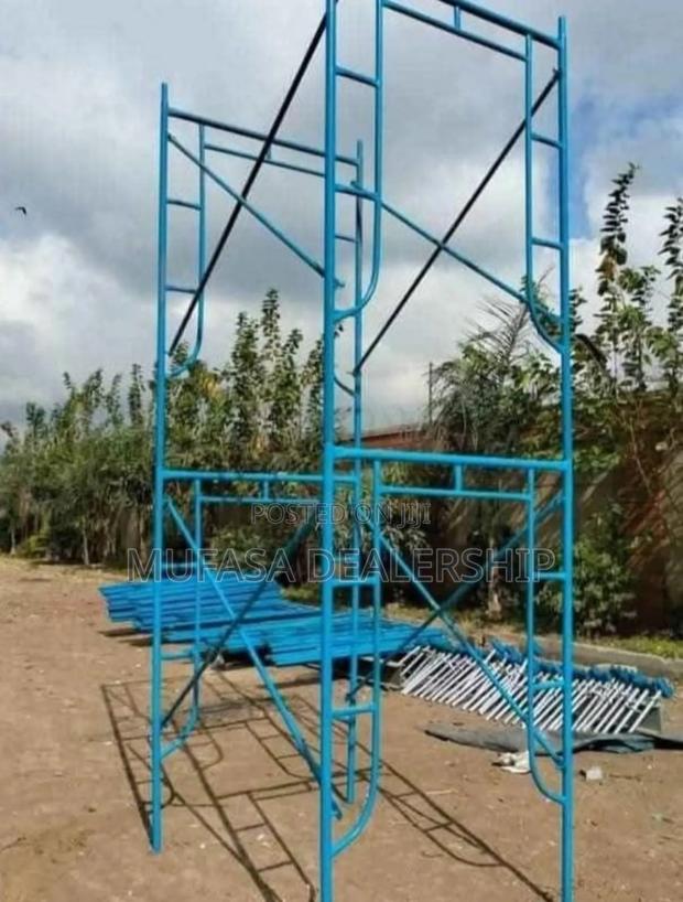 High Quality Construction Scaffold Ladder