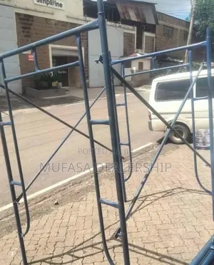 High Quality Construction Scaffold Ladder