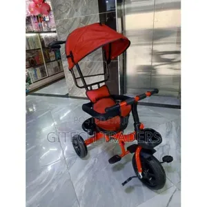 Tricycle With Canopy