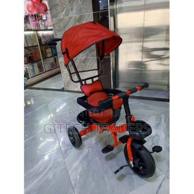 Tricycle With Canopy