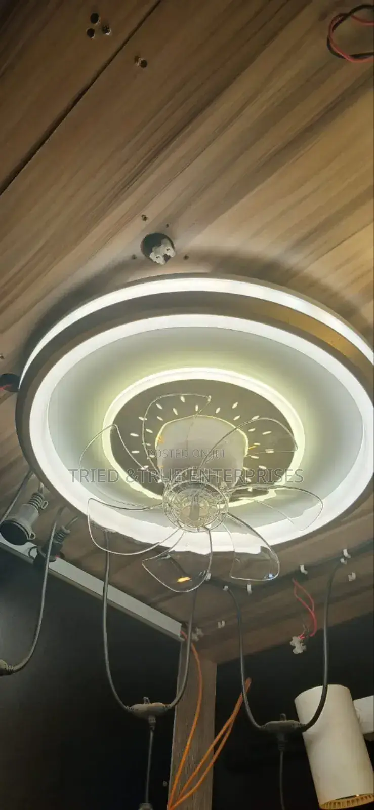 Unique Tricolour Ceiling Light Chandelier With Fan Jfd3