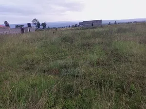 Plot for Sale in Mwariki C
