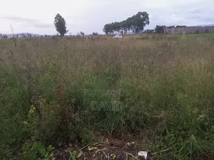 Plot for Sale in Mwariki C