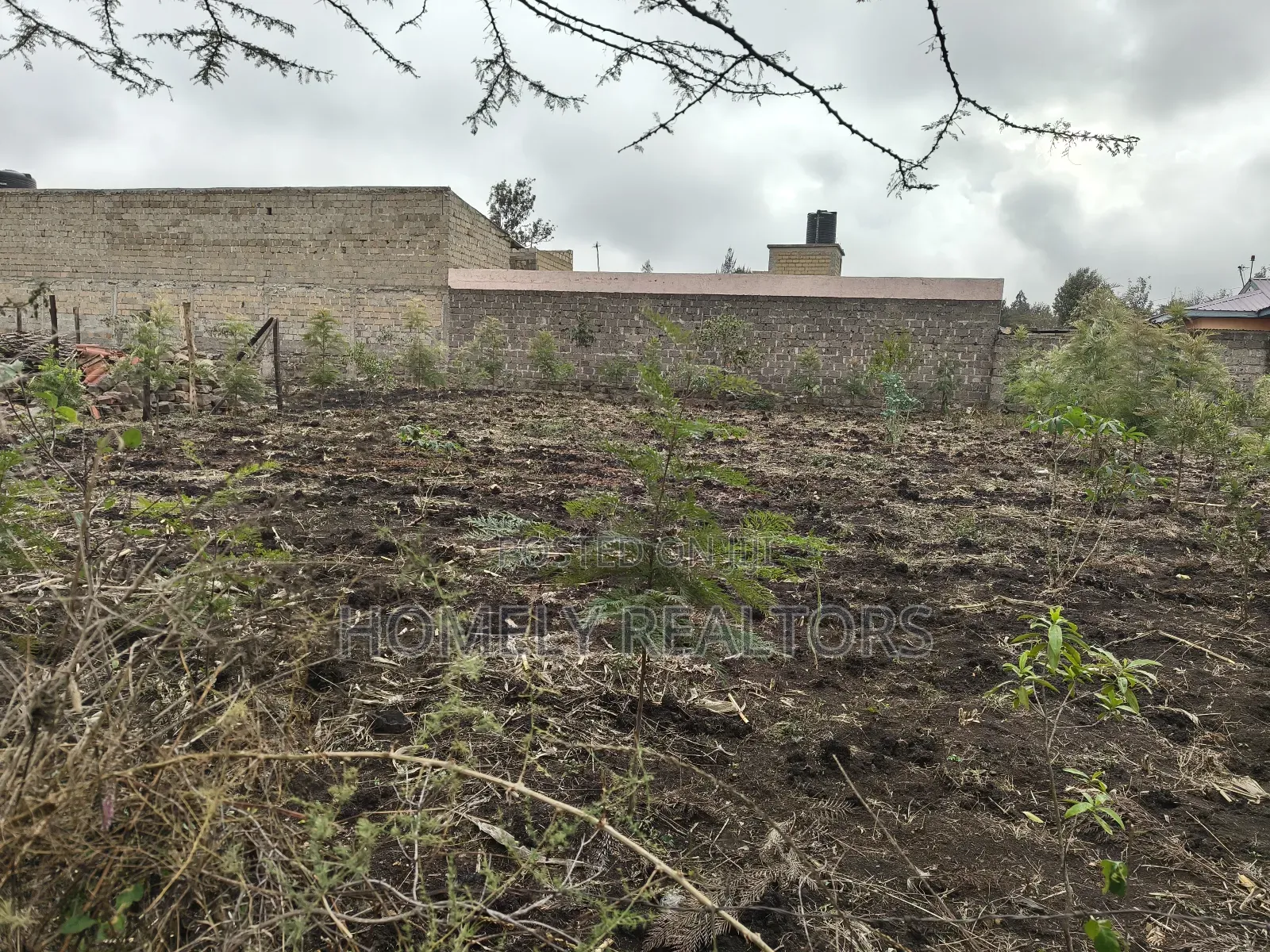 Commercial Quarter Acre Plot in Olkeri, Ngong 3rd Row From Tarmac