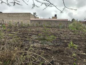 Commercial Quarter Acre Plot in Olkeri, Ngong 3rd Row From Tarmac - thumbnail 2