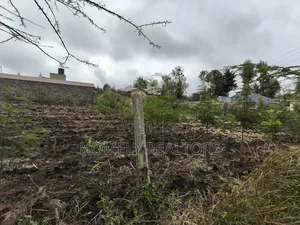Commercial Quarter Acre Plot in Olkeri, Ngong 3rd Row From Tarmac