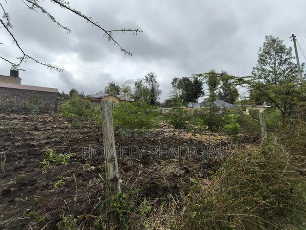 Commercial Quarter Acre Plot in Olkeri, Ngong 3rd Row From Tarmac - thumbnail 4