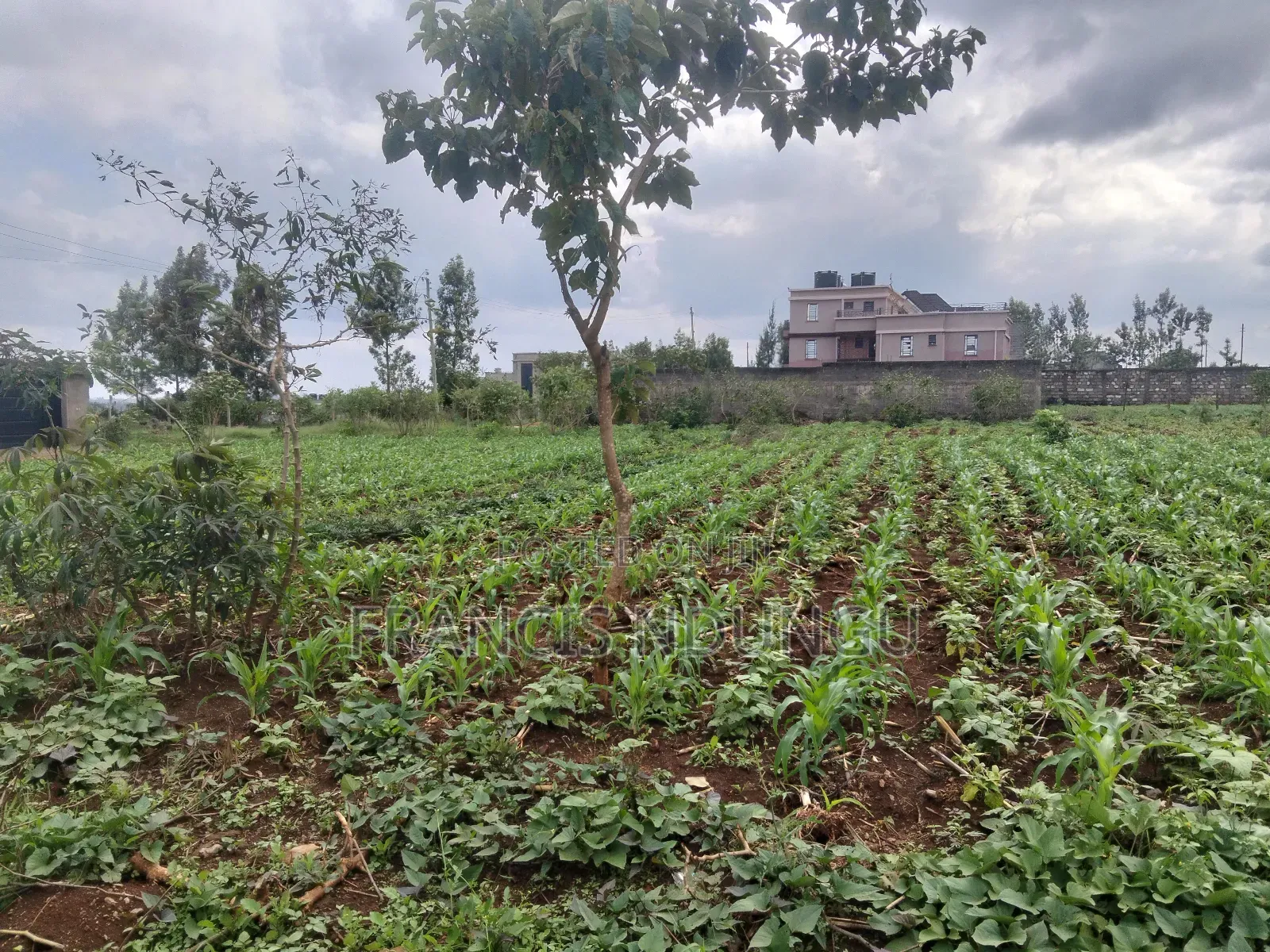 Residential Plots Near Kirigiti Kiambu