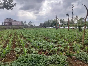 Residential Plots Near Kirigiti Kiambu