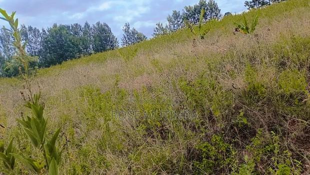 1and Half at Kyanzavi - thumbnail 3