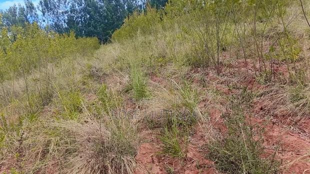 1and Half at Kyanzavi - thumbnail 4