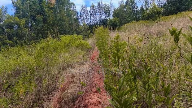 1and Half at Kyanzavi - thumbnail 5