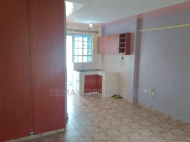 1bdrm Bedsitter in Patrick Mburu, Ruaka for rent