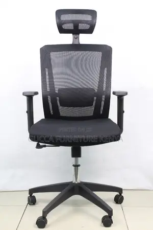 Executive Lumber Ergonomic Office Chair-Swivel