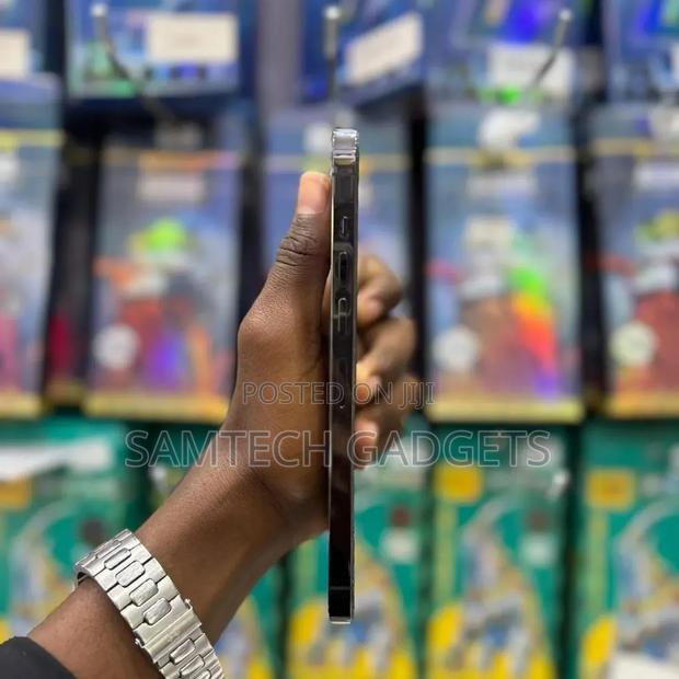 Apple iPhone 13 Pro Max 256 GB Gray - thumbnail 3