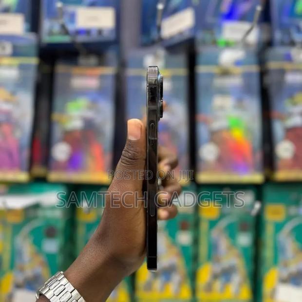 Apple iPhone 13 Pro Max 256 GB Gray - thumbnail 4