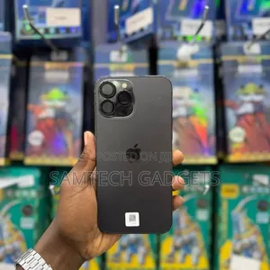Apple iPhone 13 Pro Max 256 GB Gray