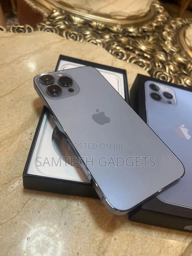 Apple iPhone 13 Pro Max 256 GB Gray - thumbnail 6