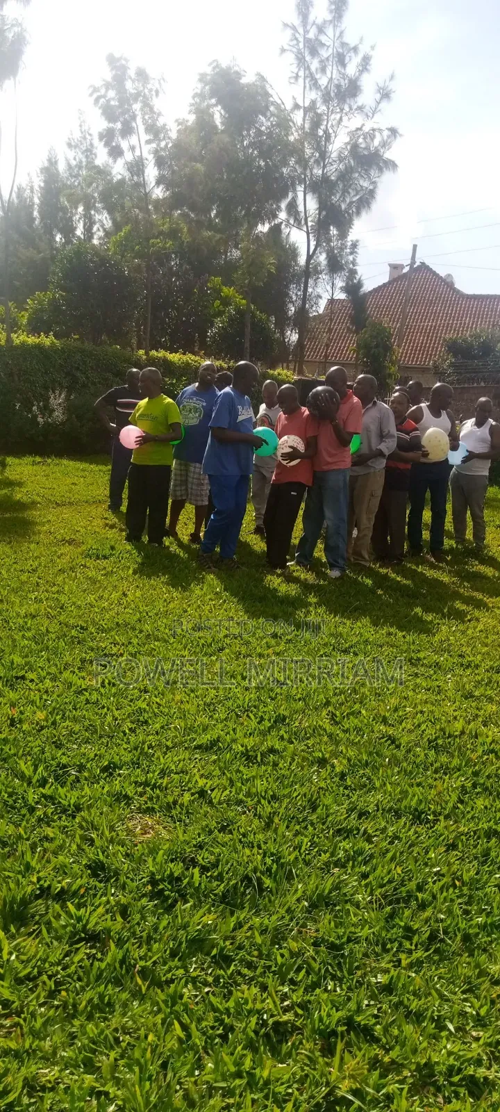Team Building Facilitation