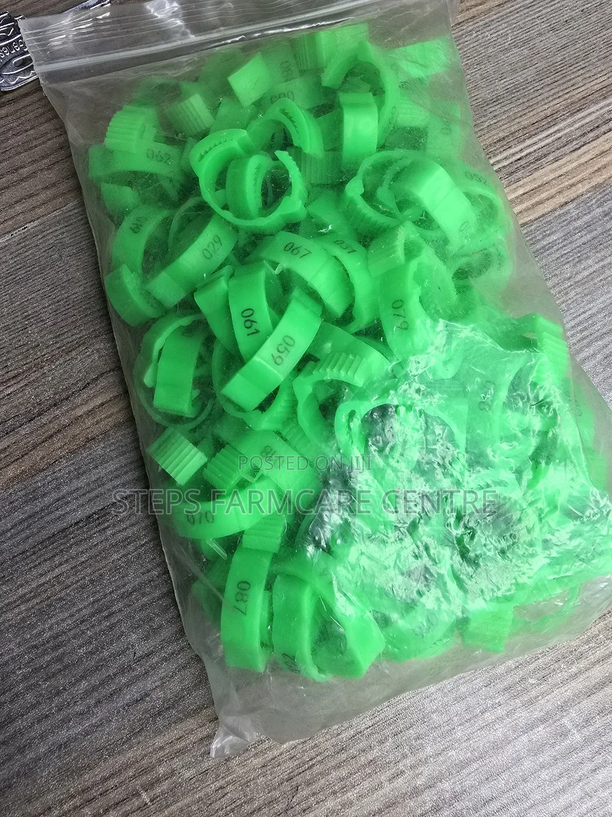 Green Numbered Chicken Leg Bands