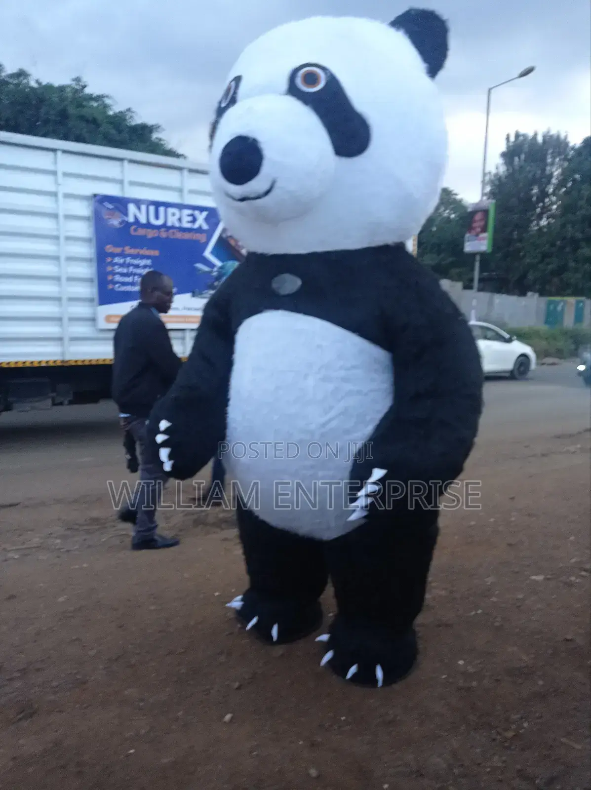 Mascots For Hire