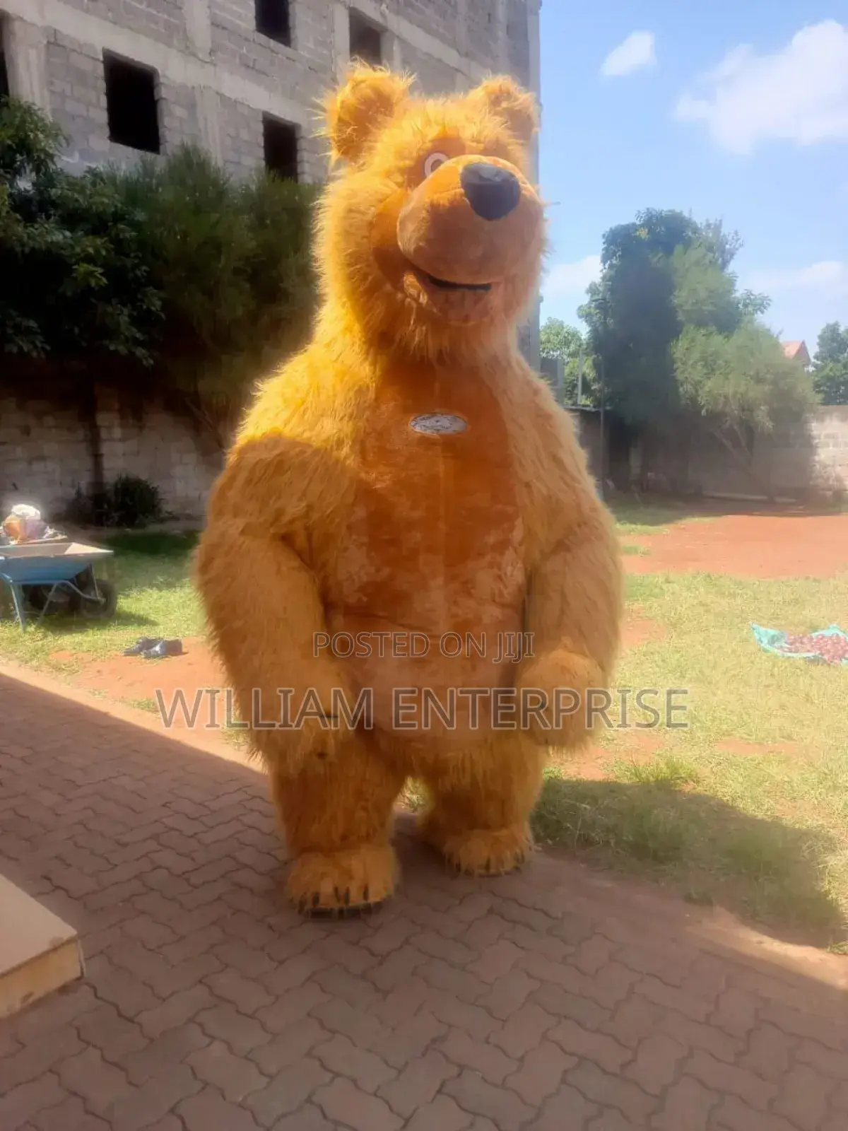 Mascots For Hire