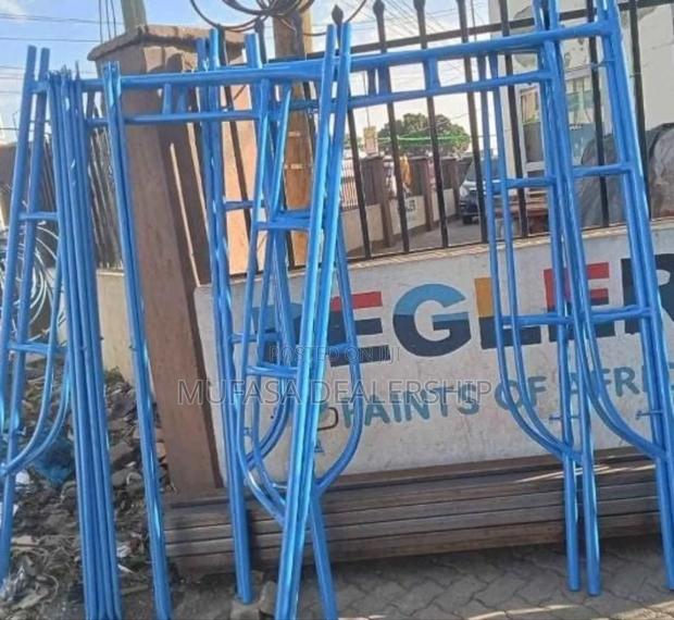 Scaffold Ladders for All Building Renovations - main view