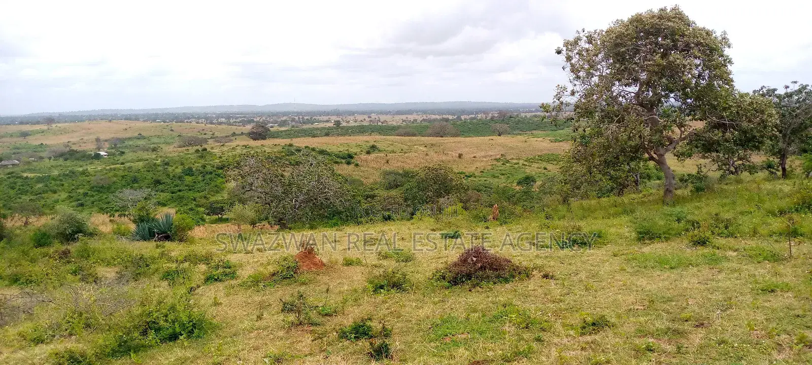 8 Acres of Land for Sale at Majenjeni Sabaki