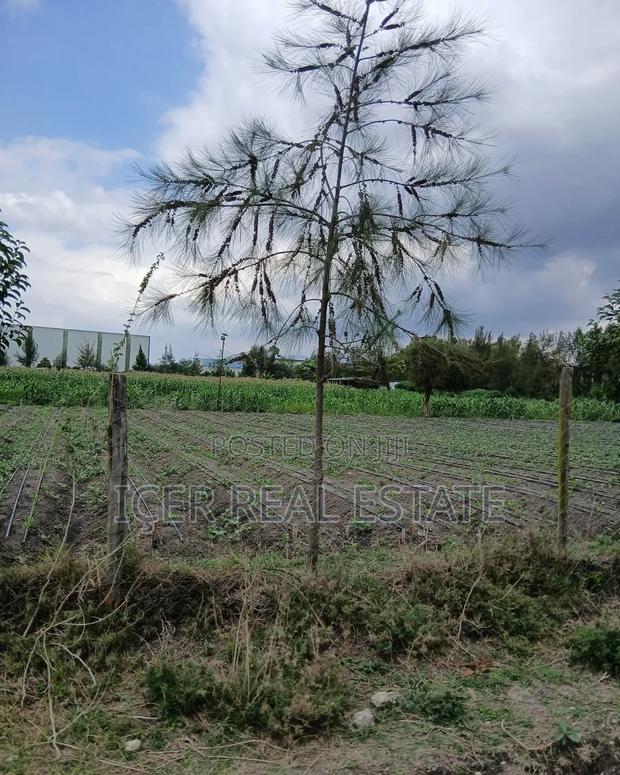 Kitengela Kisaju Plots for Sale