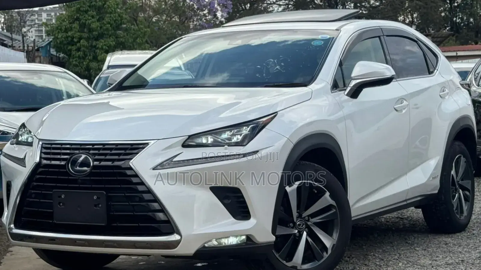 Lexus NX 300h Base 4x4 (2.5L 4cyl 2A) 2018 White